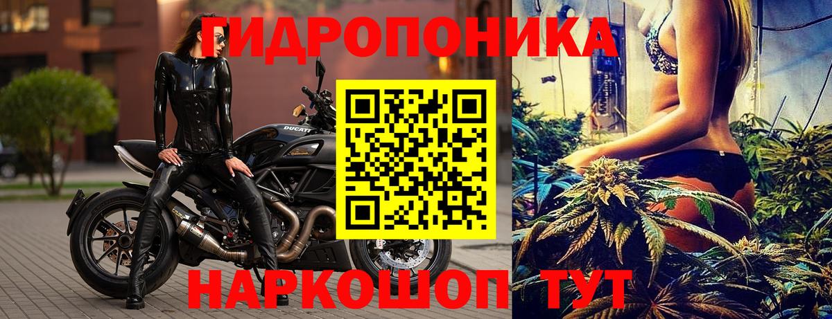 Конопля Amnesia  Каннабис планчик  Конопля марихуана  Орёл  Вход с VPN 